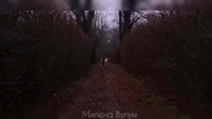 Bloom&Sky/Блум и Скай/ История любви/Сериал«Клуб Винкс».