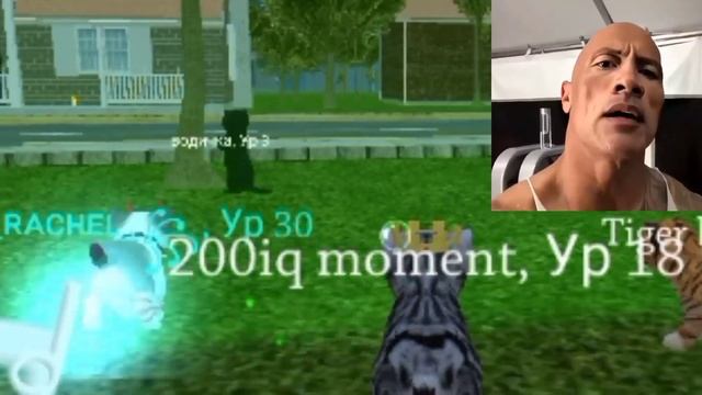 Скала оценивает новое обновление в Cat Simulator — Animal Life (1.0.2.6) смотреть онлайн