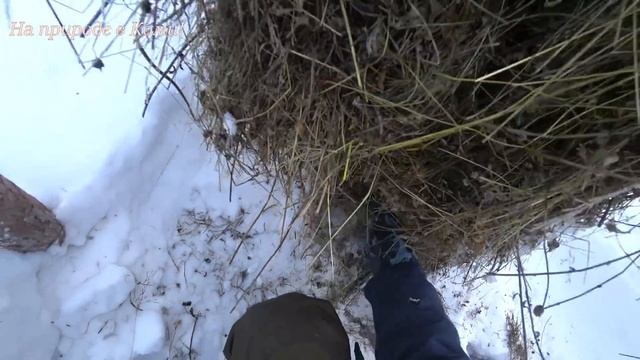 Тонем в снегу. Новая подстилка из сена для собак. смотреть онлайн