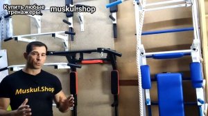 Выбрать турник для дома  Что лучше 3в1, настенный или потолочный