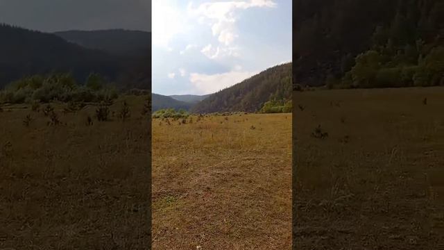 Кага. Прогулка пешком на правый берег реки Белая. 19.08.2023
