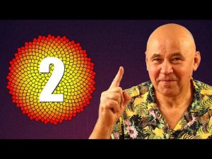 Загадки филлотаксиса ● 2
