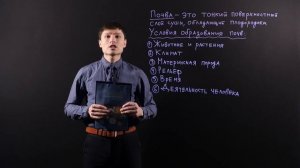 География 8 класс: Образование почв и их разнообразие