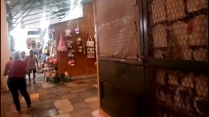 БРАЗИЛИЯ МАНАУС РЫНОК