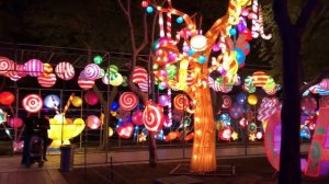 Светящийся Сад в Дубае: Dubai Garden Glow