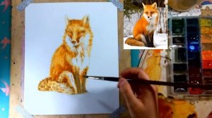 Как нарисовать лису акварелью поэтапно, как нарисовать реалистичную шерсть