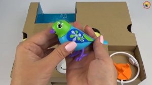 DigiBirds – поющие птички для детей, обзор интерактивной игрушки   Singing Birds Toys