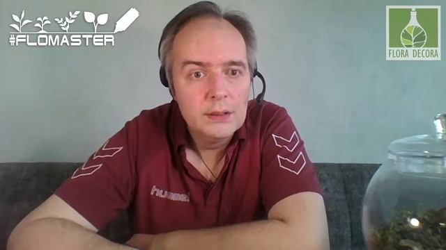 #FLOMASTER-12 Стрим-презентация онлайн-курса