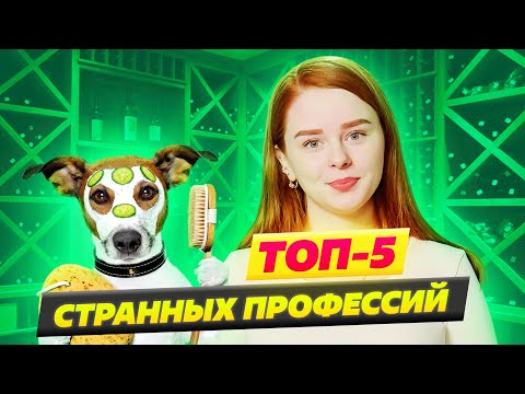 Как выбрать профессию?  Профессия грумер или Моушн Дизайн