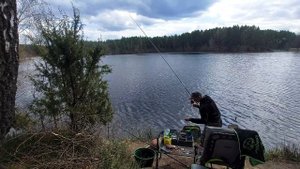 Ловля плотвы болонской удочкой. Рыбалка на водохранилище Альховка.