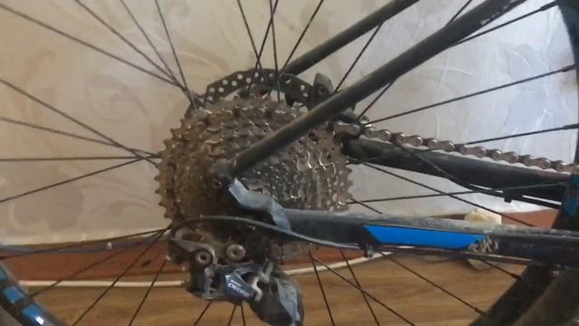 cannondail trail5 смотреть онлайн