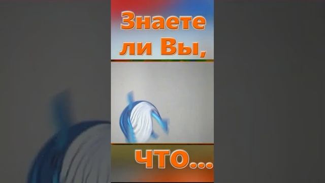 Знаете ли вы, Что? Кит