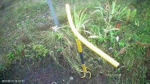 Дербаним дёрн ручным культиватором