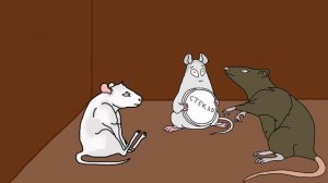 ПРО КРЫСУ [МУЛЬТИК]