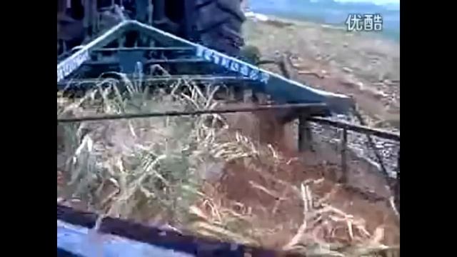 Уборка чеснока во Франции, в Китае и др Часть 2 Cleaning garlic in France, Chin смотреть онлайн