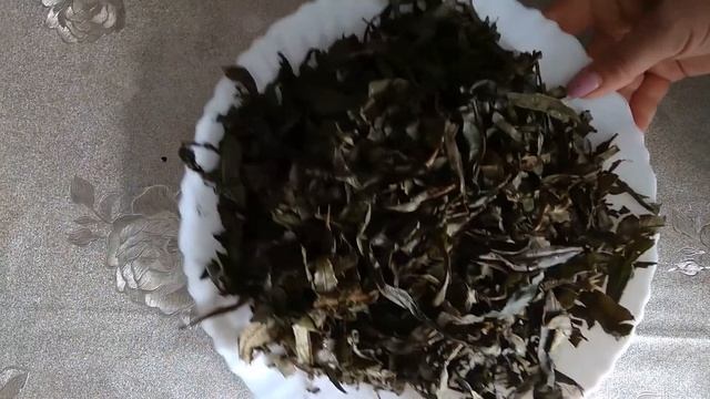 Как правильно заготовить Иван чай  Сбор, ферментация, сушка