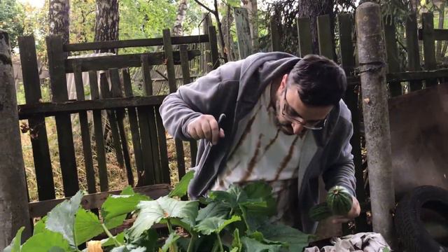 Спилили первый сухостой. Урожай экспериментальной грядки... смотреть онлайн