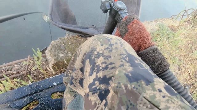 Ловля леща на Волге. Часть 2. смотреть онлайн