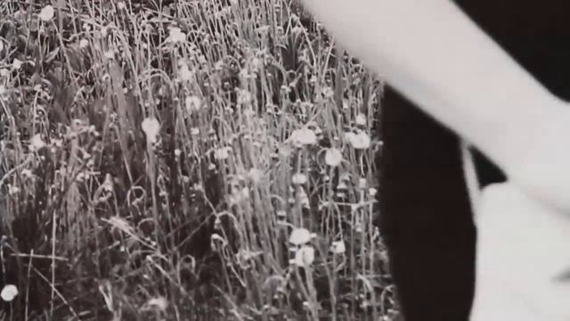 Как передать свои мысли музыкой. Музыкальное воображение смотреть онлайн