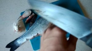 Kyocera - керамический нож против рыбы - ceramic  knife vs fish