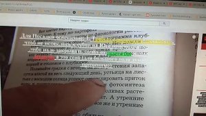 О поливе и посадке картофеля Влажное Проращивание картофеля Почва для посадки картошка