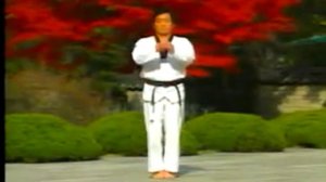 07 - Taegeuk TChil Jang