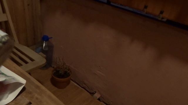 Привезла кое-что из Пярну. Эстония. смотреть онлайн