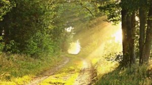 Красивая песня про Любовь! "Любовь, кто ж постиг это слово?" Христианские песни МСЦ ЕХБ