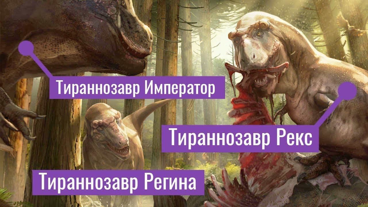 ТРИ новых Тираннозавра. Король, Королева и Император