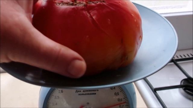 САМЫЙ ВКУСНЫЙ  И СЛАДКИЙ ТОМАТ СЕРИИ 