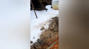 Джилы-Су зимой (ферваль 2021 г.)