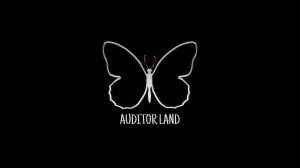 Ответ на отзыв о AUDITOR LAND