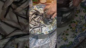 Маринованная килька в банке