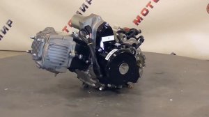 Двигатель ВАНЧАНГ 90см3 (1P47FMD) Альфа, круговая схема, 4МКПП