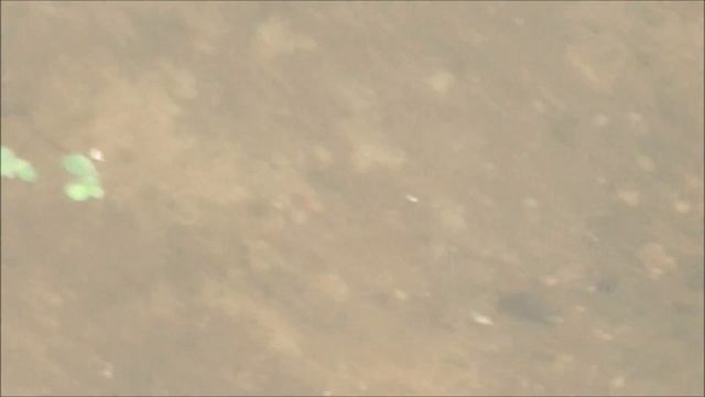 Последствия развития г.п. Зеленоградский Пушкинского района МО смотреть онлайн