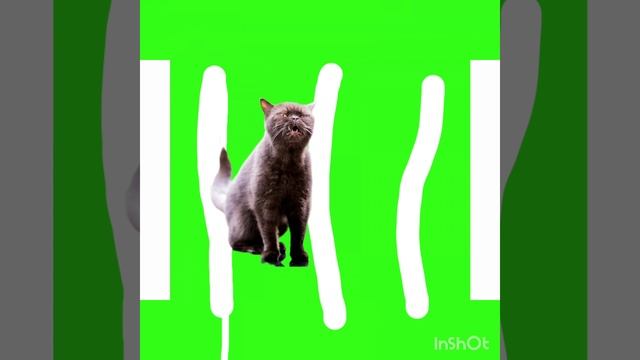 догоню серия 1