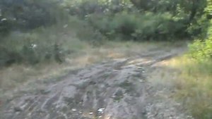 Ориентировка в лесу по компасу