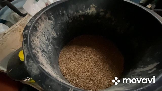 Рецепт кормления молодняка Гусей/ Без применения комбикорма/Пошаговая инструкция