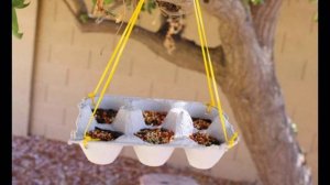 Кормушка для птиц своими руками