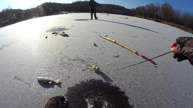 ЗА ТАКИМИ ПОКЛЕВКАМИ СТОИЛО ЕХАТЬ!!!Первый лед 2019-2020 окунь на балансир,large perch, first ice смотреть онлайн