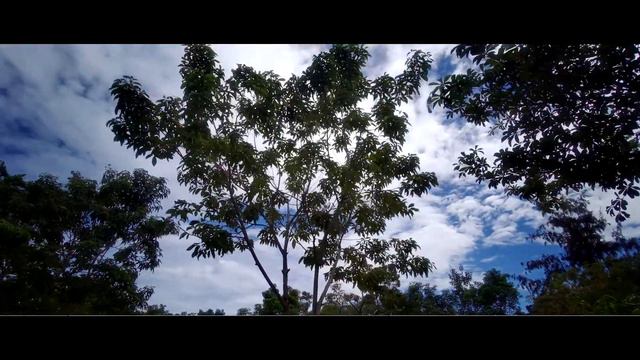 FIMI PALM | TEST VIDEO 4k @ 30fps | MJ VISUALS смотреть онлайн