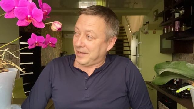 орхидейная КУНСТКАМЕРА // мои 4 необычных орхидеи фаленопсисы
