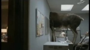 Monster.com Каннские львы 2009