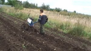 Нева на гусеницах