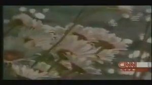 Rachel Scott Funeral Tribute Video
