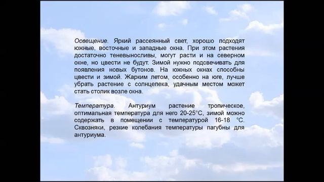 АНТУРИУМ  ОСОБЕННОСТИ УХОДА И РАЗВЕДЕНИЯ смотреть онлайн
