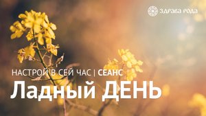 Ладный день. Оздоровительный сеанс Здравы РОДА.