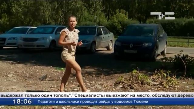 Тополя угрожают людям и машинам смотреть онлайн