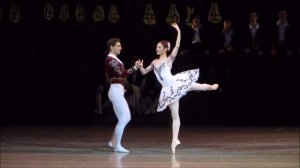 Don Quixote 3 act - Elena Yevseyeva, Vladimir Shklyarov 28.03.2019