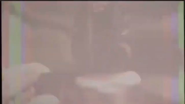 Чебоксарский трикотаж, лучший рекламный ролик, что вы видели смотреть онлайн